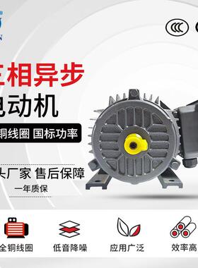 8极三相异步电动机YE3-225S/M-8电机 机械用18.5KW/22KW卧式马达