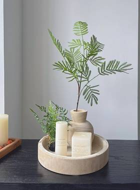 侘寂风绿植软装造景套餐木质托盘花盆桌面装饰摆件玄关圆形果盘