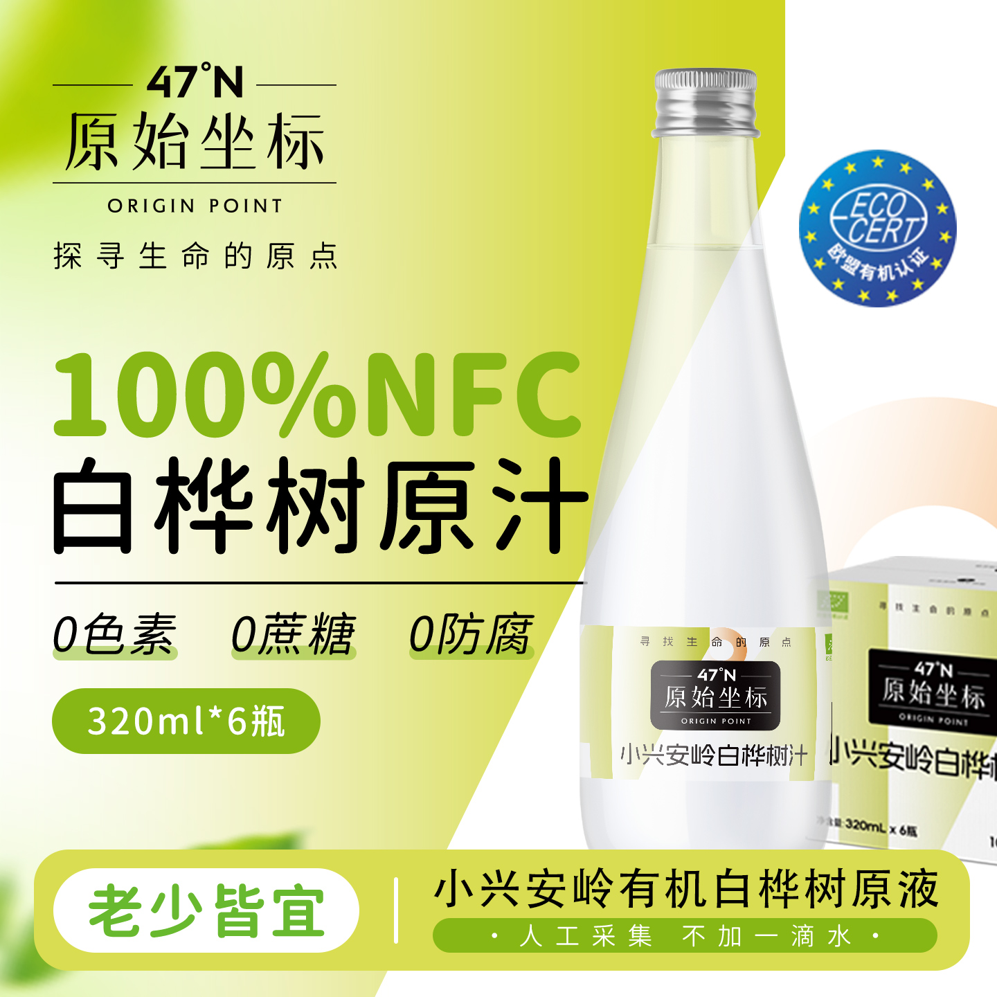 天然白桦树汁原液原汁饮品