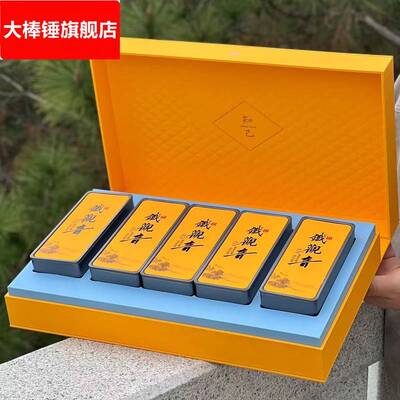福建安溪铁观音新茶浓香型乌龙茶鲜绿茶叶高山韵味茶礼盒装500克