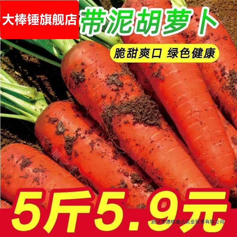 湖北新鲜蔬菜农家自种现挖带泥水果胡萝卜新鲜 现挖红萝卜10斤88