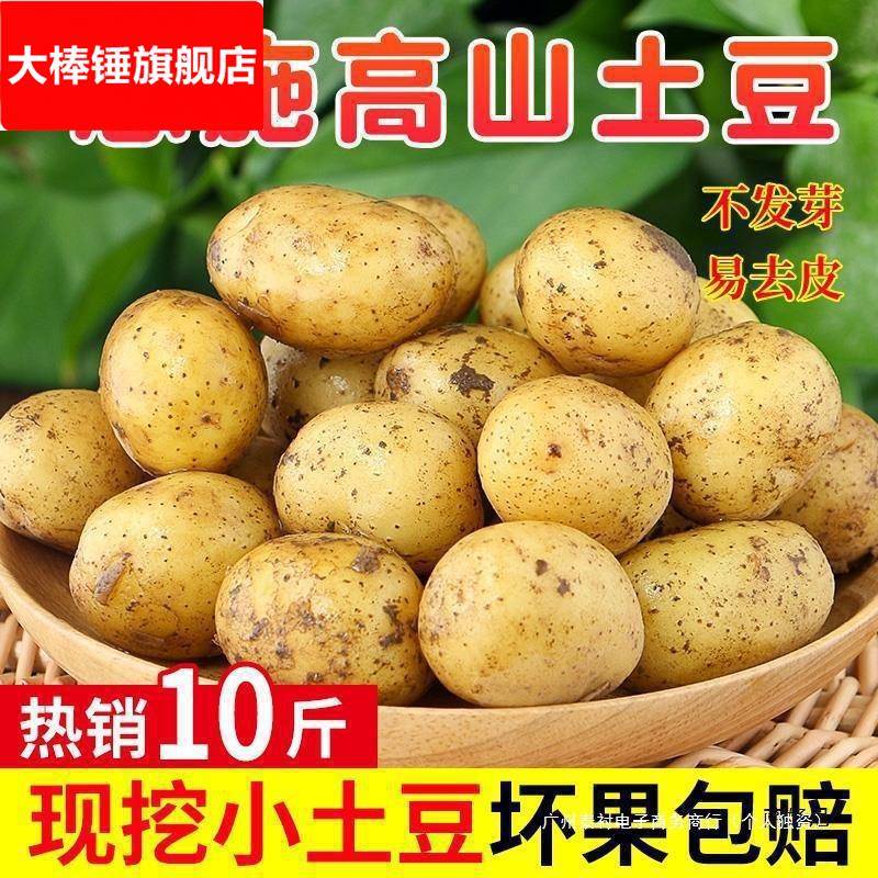 恩施小土豆10斤包邮富硒新鲜洋芋迷你黄心士豆湖北马铃薯蔬菜山药