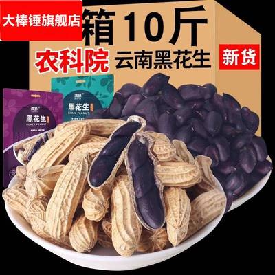 农科院 云南黑花生新鲜带壳生的原味炒熟黑皮花生去壳富硒黑花生
