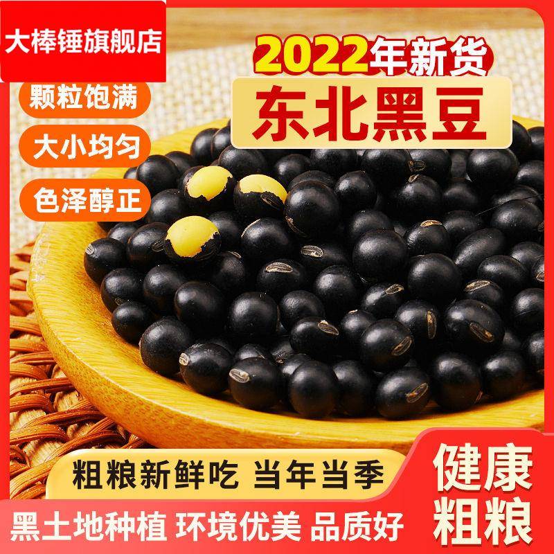 老品种东北黄仁黑豆新货农家自产自种五谷杂粮非绿芯醋泡芯