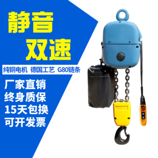 链条电动葫芦1吨双速双链电动提升机 厂家直销PK型环链电动葫芦2t