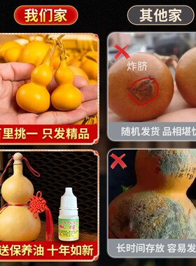 葫芦挂件门口五帝钱门对门大门对卧室门天然开口真葫芦摆件中国结