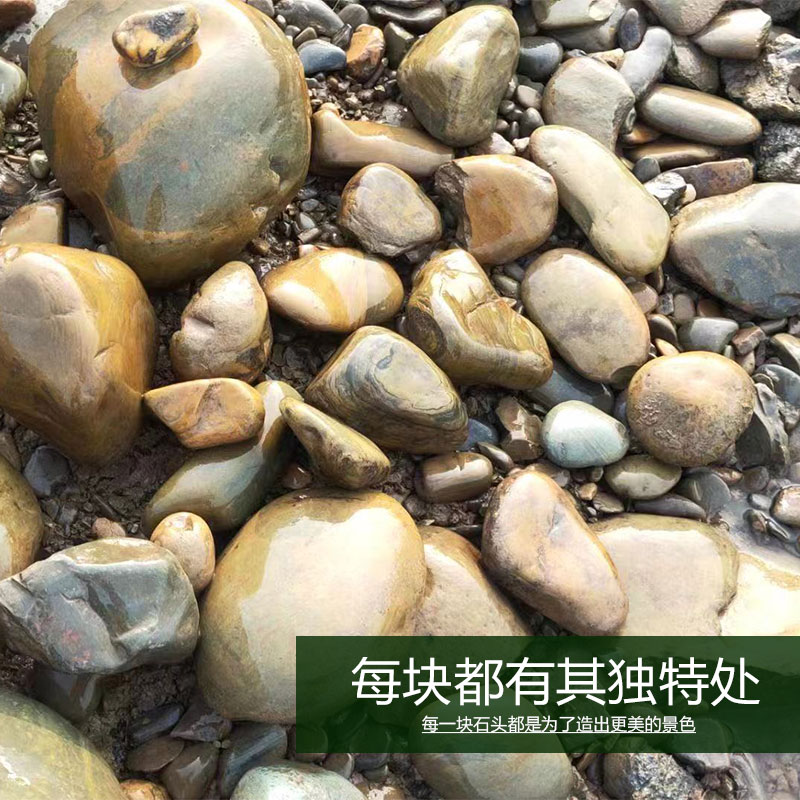 造景石头溪流石原生南美缸天然鹅卵石三湖慈鲷鱼缸套餐装饰大小块
