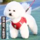 背心式 狗狗牵引绳小型犬比熊泰迪博美小狗幼犬胸背带遛狗绳狗链子