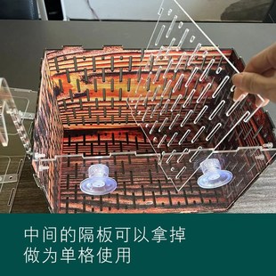 乌龟专用隔离盒小龟苗发色木纹饲养鱼缸内大号亚克力透明挂钩吸盘