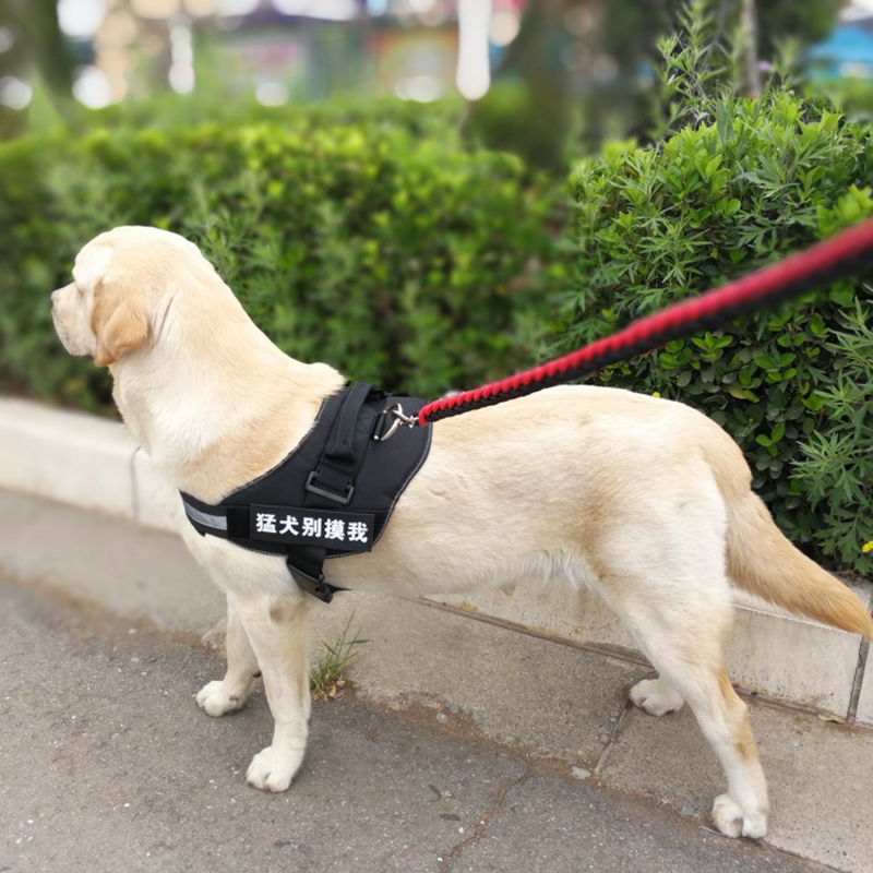 狗狗背心式胸背带外出遛狗小型犬中大型犬定制狗链子牵引绳防爆冲