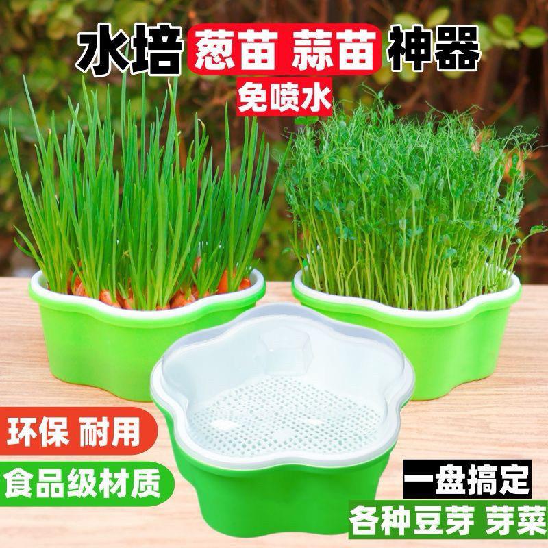 新款花瓣育苗盘小号芽苗菜种植盘无土栽培纸上种菜水培托盘带盖子