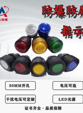 防爆防腐指示灯信号灯30MM IP66 防爆箱 220V 24VLED ExdeIIC红色