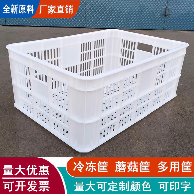 塑料周转筐加厚水果筐篮子食品周转冷冻筐大号辣椒蘑菇筐网眼胶框