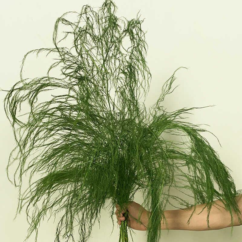 插花，仙花，芦苇草，龙须，羽毛草，干花，智慧林风拍摄道具，烟