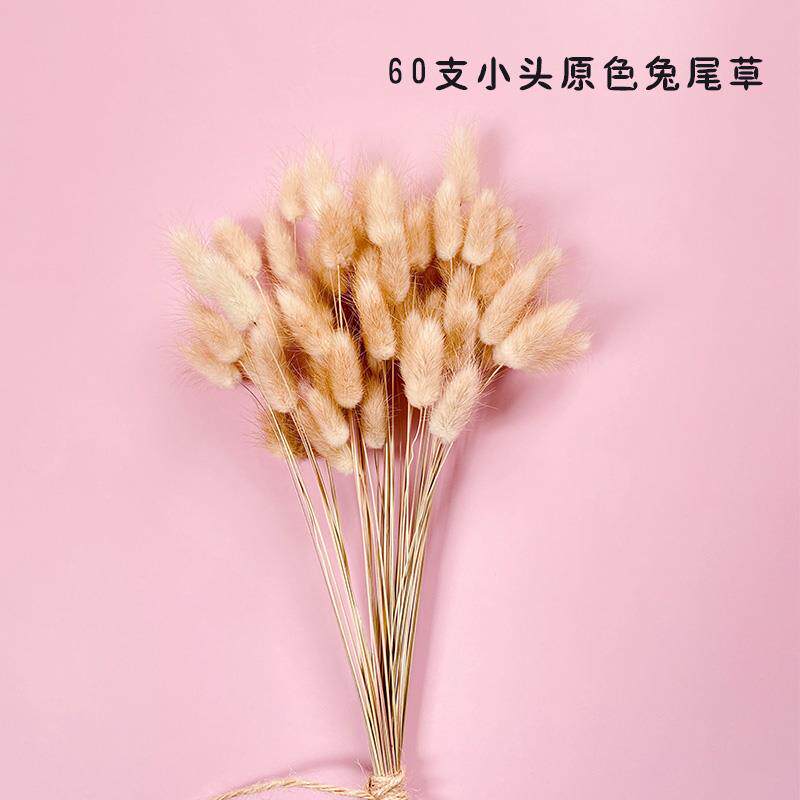 ins风原色兔尾草干花花束居家客厅书房桌面装饰插花创意礼物道具