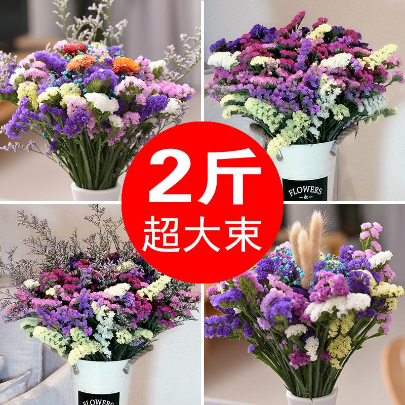 云南天然风勿忘我干燥花花束真花装饰摆饰客厅小大插花论斤卖满天