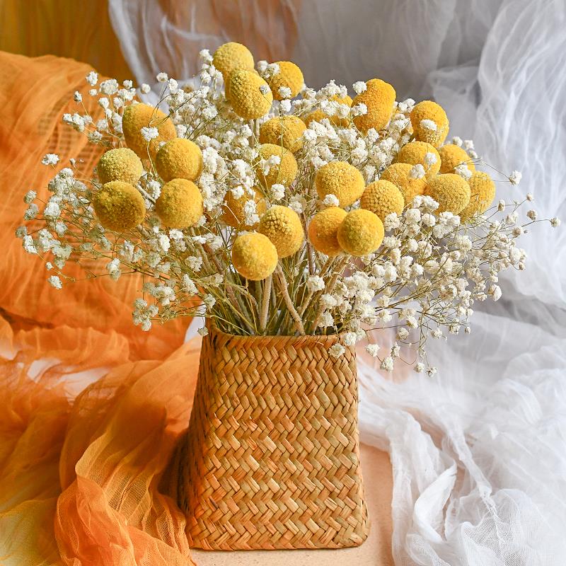 黄金球金槌花干燥花花束装饰摆饰真花插花干燥永生花尤加利叶满天