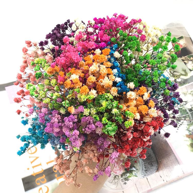 永生花DIY材料包1g渐层大头满天星百万星干 干燥花花束永生花真花