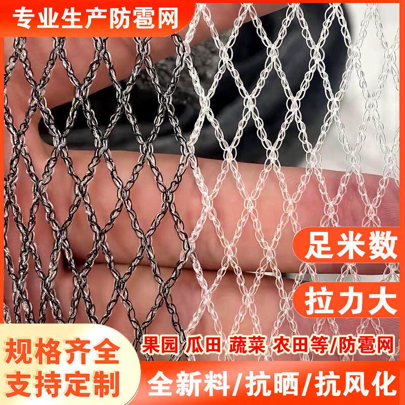 防雹网果园防鸟网葡萄网农用防护网果园葡萄树果树防冰雹网神器
