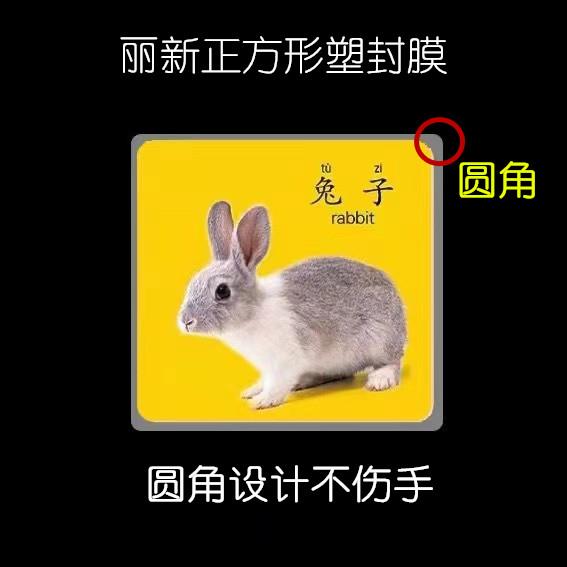 丽新塑封膜正方形过塑膜100张标准8丝10丝护卡膜照片过胶膜热封膜