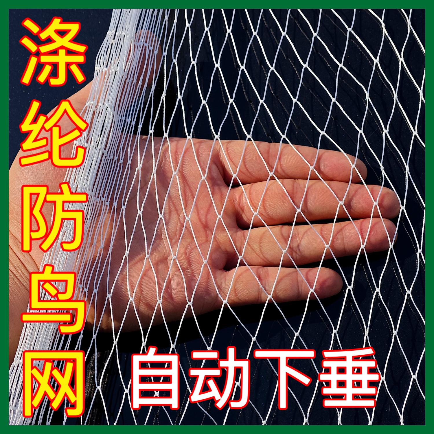 果树防鸟网果园樱桃葡萄草莓嘉宝果枇杷鱼塘大棚养殖农用防鸟网