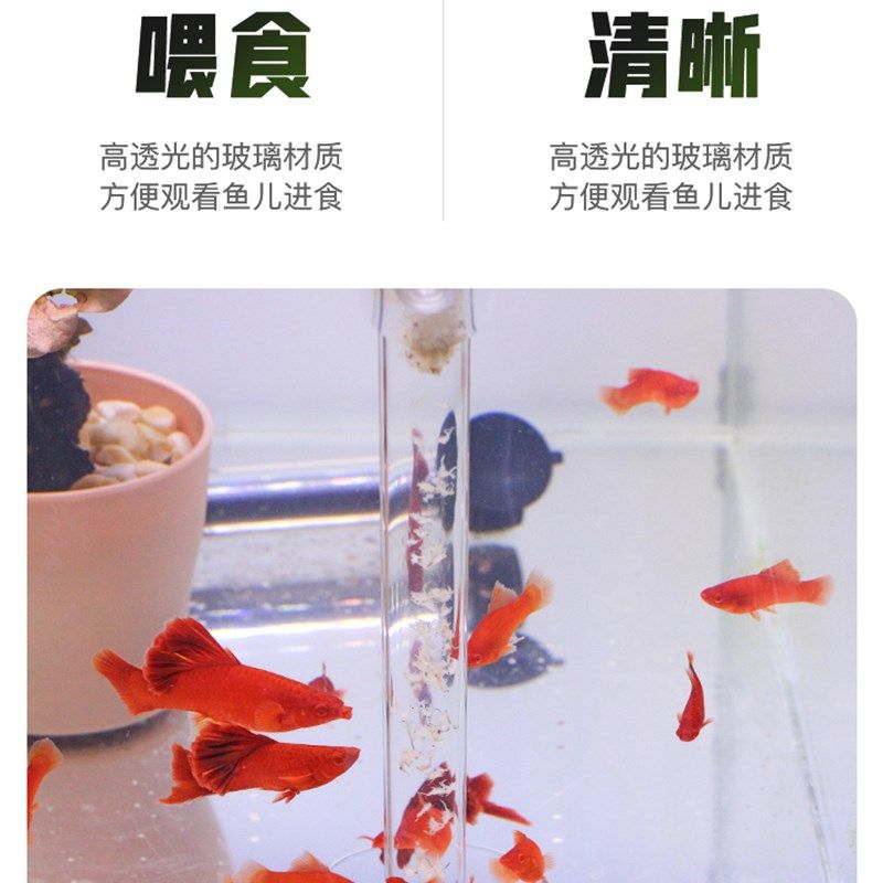 鱼缸喂食器喂食圈玻璃喂食管鱼食鱼粮防飘散饲料喂食管鱼虾投食器,宠物/宠物食品及用品,喂食器,淘宝优惠券,粉丝福利购,淘宝优惠卷