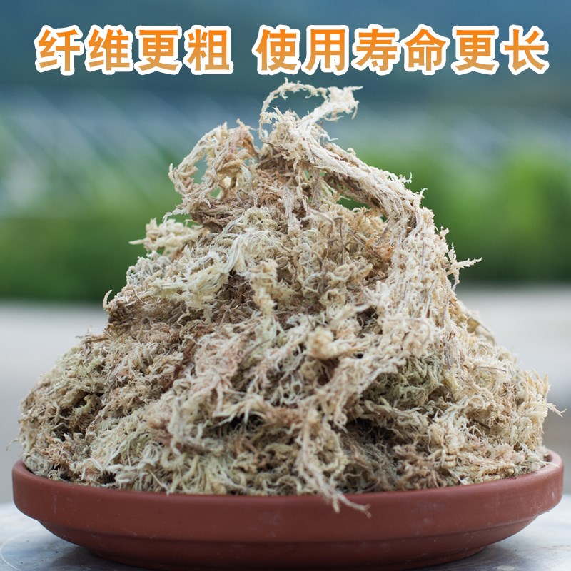 蝴蝶兰花专用白水苔营养土爬虫铺垫干水苔兰花无土栽培介质花土