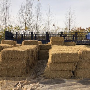 草垛凳子草垛凳子圆形草垛干稻草草垛子麦草垛稻草道具摄影