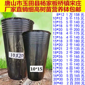 树苗袋育秧盆营养钵塑料黑色育苗盆育苗杯西瓜杯营养钵杯一次性