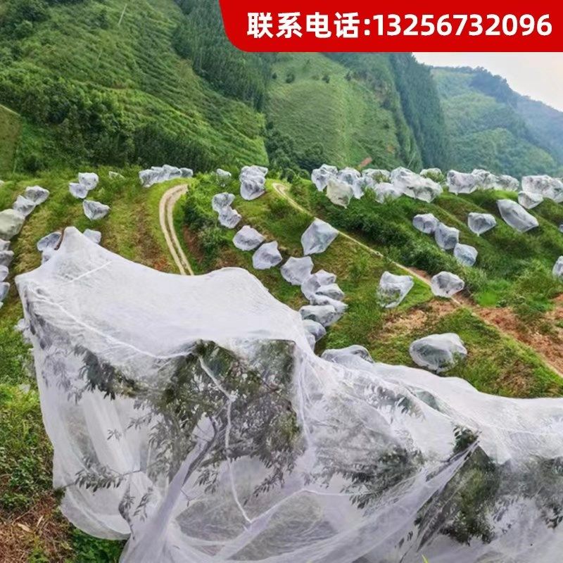 纱网防虫网定制果树樱桃嘉宝果莲雾防虫防鸟网罩聚乙烯抗老化抗晒,农机/农具/农膜,农用防虫网,淘宝优惠券,粉丝福利购,淘宝优惠卷