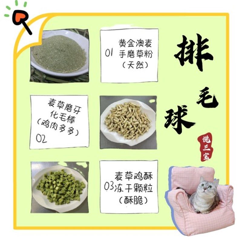 【猫化毛球镇店三宝】免种植猫草粉拌猫粮排毛球天然化毛膏麦草酥,宠物/宠物食品及用品,猫草/猫草片,淘宝优惠券,粉丝福利购,淘宝优惠卷