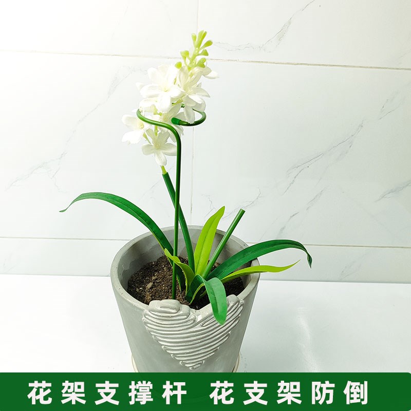 植物支撑绣球蝴蝶兰花架子固定架月季爬藤防倒伏铁艺花架桌面护花