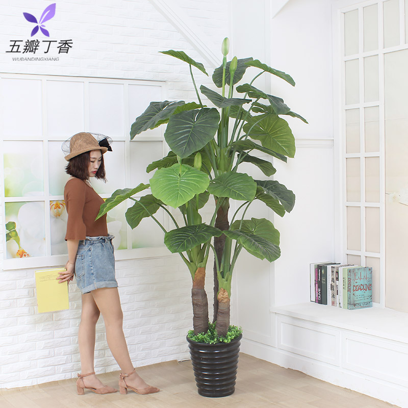 假树仿真植物室内装饰大型滴水观音绿植盆栽客厅塑料假花落地盆景