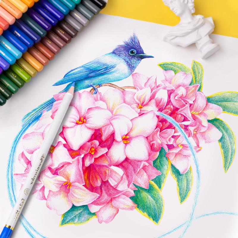 飞乐鸟油性彩铅72色美术专业绘画色色初学者儿童手绘彩色铅笔装学