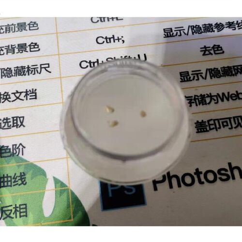 菌定量瓶  酶底物法取样瓶  酶底物法程控定量封口 耗材