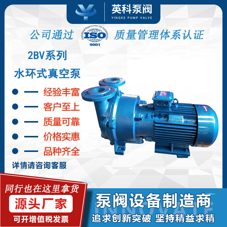 水环式真空泵木工雕刻机5.5kw2BV5111开料机循环水真空泵吸附泵,五金/工具,水泵,淘宝优惠券,粉丝福利购,淘宝优惠卷