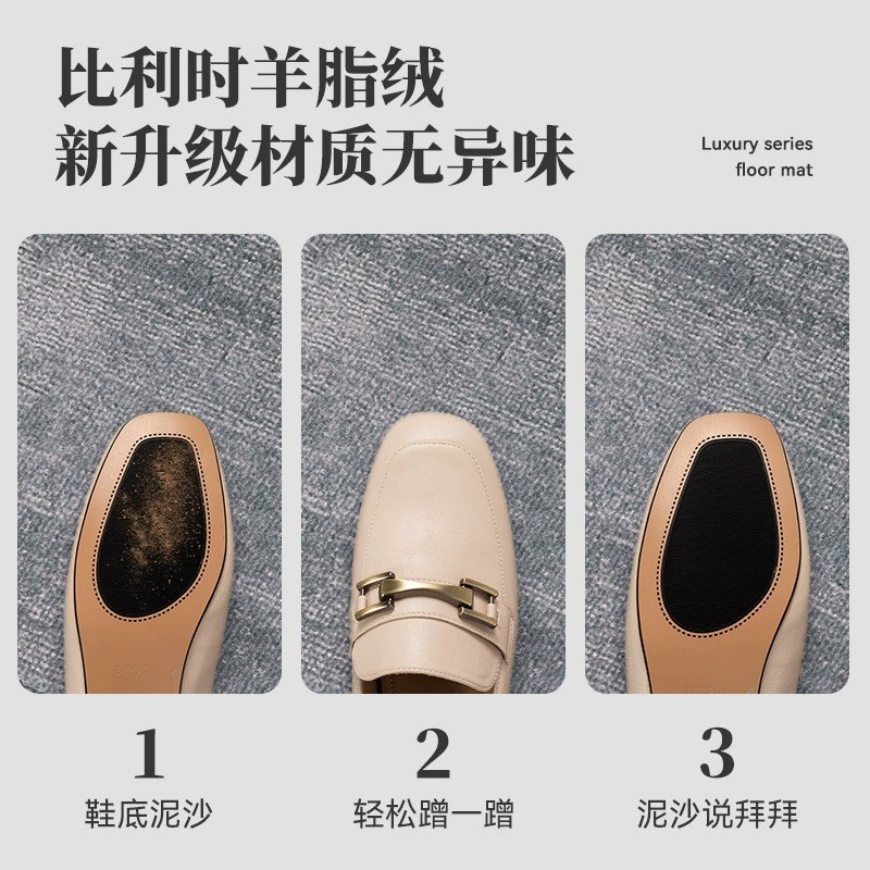 入户门地垫新款轻奢高级感防滑进门脚垫北欧风高端家用大门口地毯