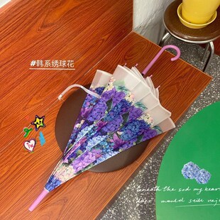 新梦幻绣花球透明雨伞自动长柄加厚抗风高级时尚小众女士高颜值伞