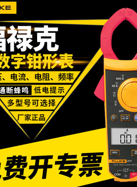 FLUKE福禄克F312钳型电流表 厂家正品F317数字交直流钳型表F319