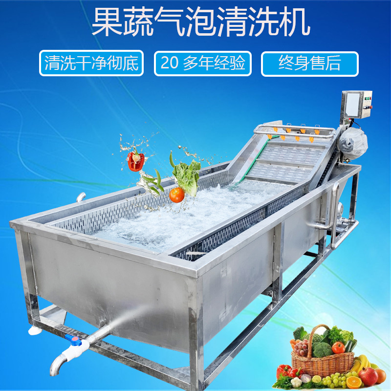 大型不锈钢叶菜清洗风干机 气泡式青菜自动清洗设备 洗蔬菜机