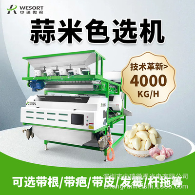 大蒜色选机 中瑞微视新款小型色选设备 提高品质八角蒜粒香料精选