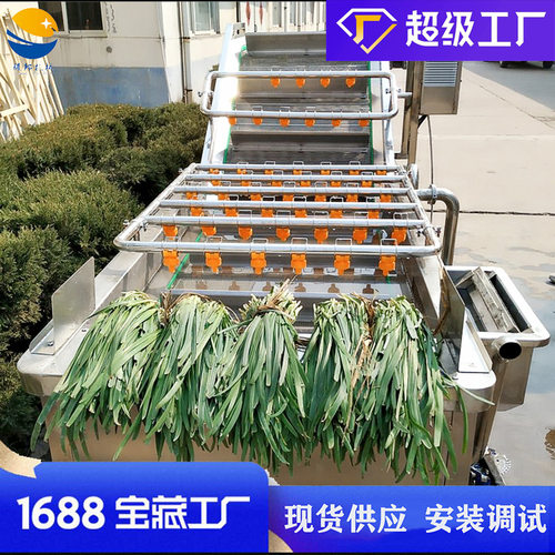 全自动洗葱机 去泥沙带气泡喷淋蒜苗清洗设备 输送式洗韭菜机器