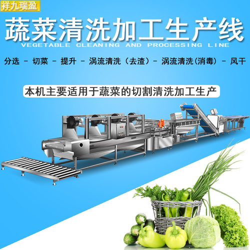 净菜清洗流水线 自动化机械 蔬菜切割清洗流水线中央厨房设备