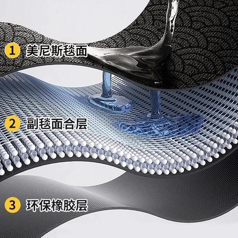 高端入户门地垫2024新款家用乔迁免洗进门地毯门口玄关蹭土门垫子