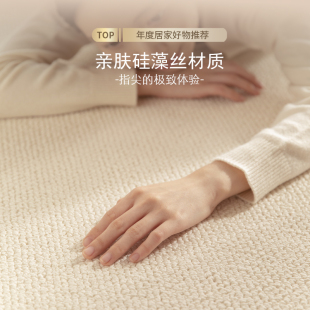 大面积全铺免洗免打理纯色沙发硅藻丝地垫 地毯客厅卧室2024新款