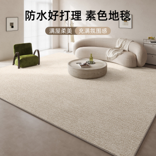 法式 地毯客厅b2024新款 奶油风免洗可擦沙发地垫纯色防水卧室床边