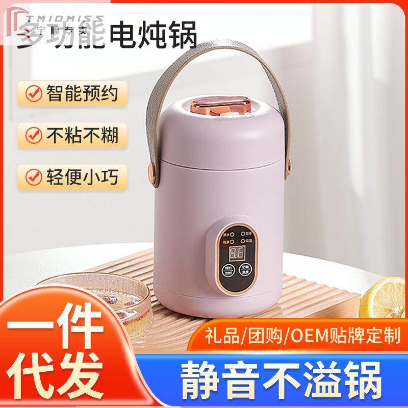 电煮锅迷你炖煮锅便携电汤煲饭家用煲粥专用学生宿舍一体电炖火锅