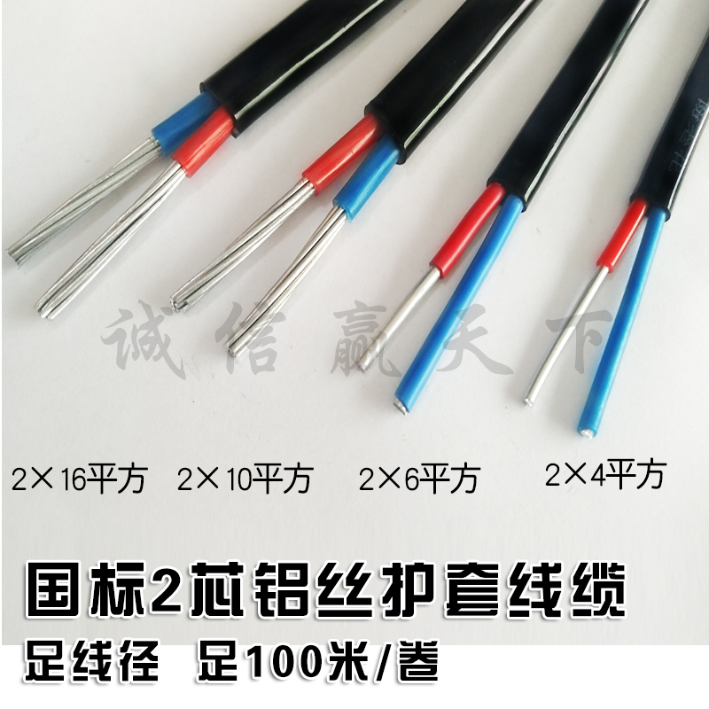 家用电线 10 1 平方电缆线室外2芯农网改造入户铝线