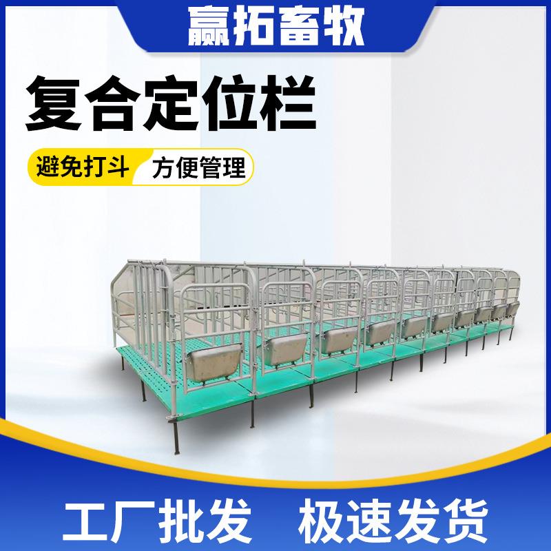 厂家定制母猪定位栏热镀锌钢管限位栏复合定位栏母猪限位栏