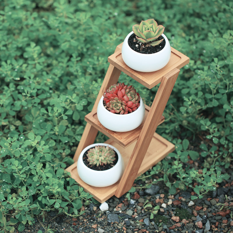 壹分皿多肉植物花盆白色陶瓷花盆白瓷花盆肉肉植物桌面花盆带竹架